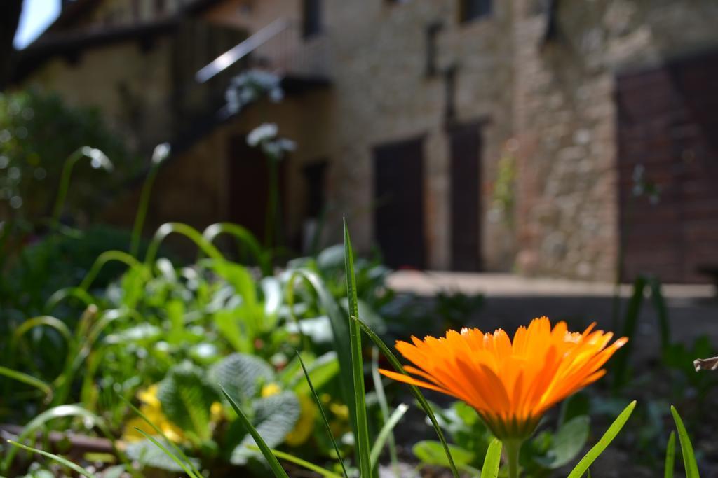 Agriturismo Nestore 외부 사진