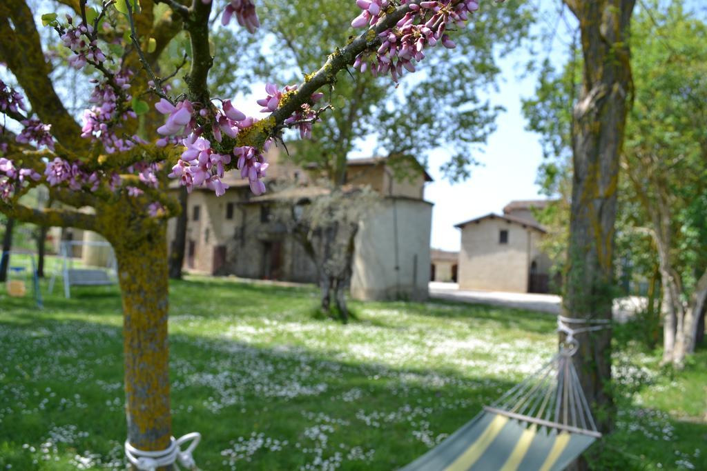 Agriturismo Nestore 외부 사진